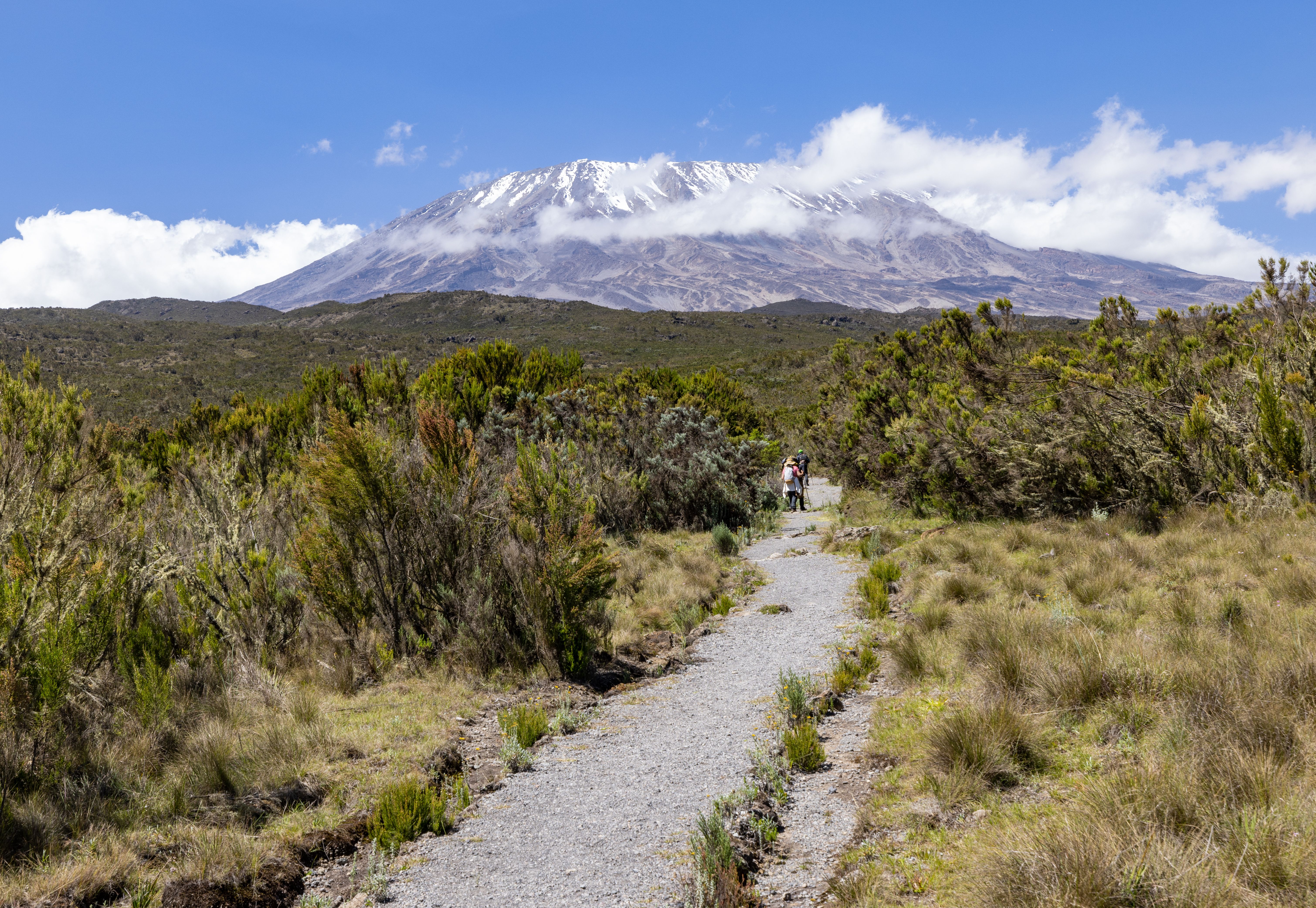 Moshi & Kilimanjaro