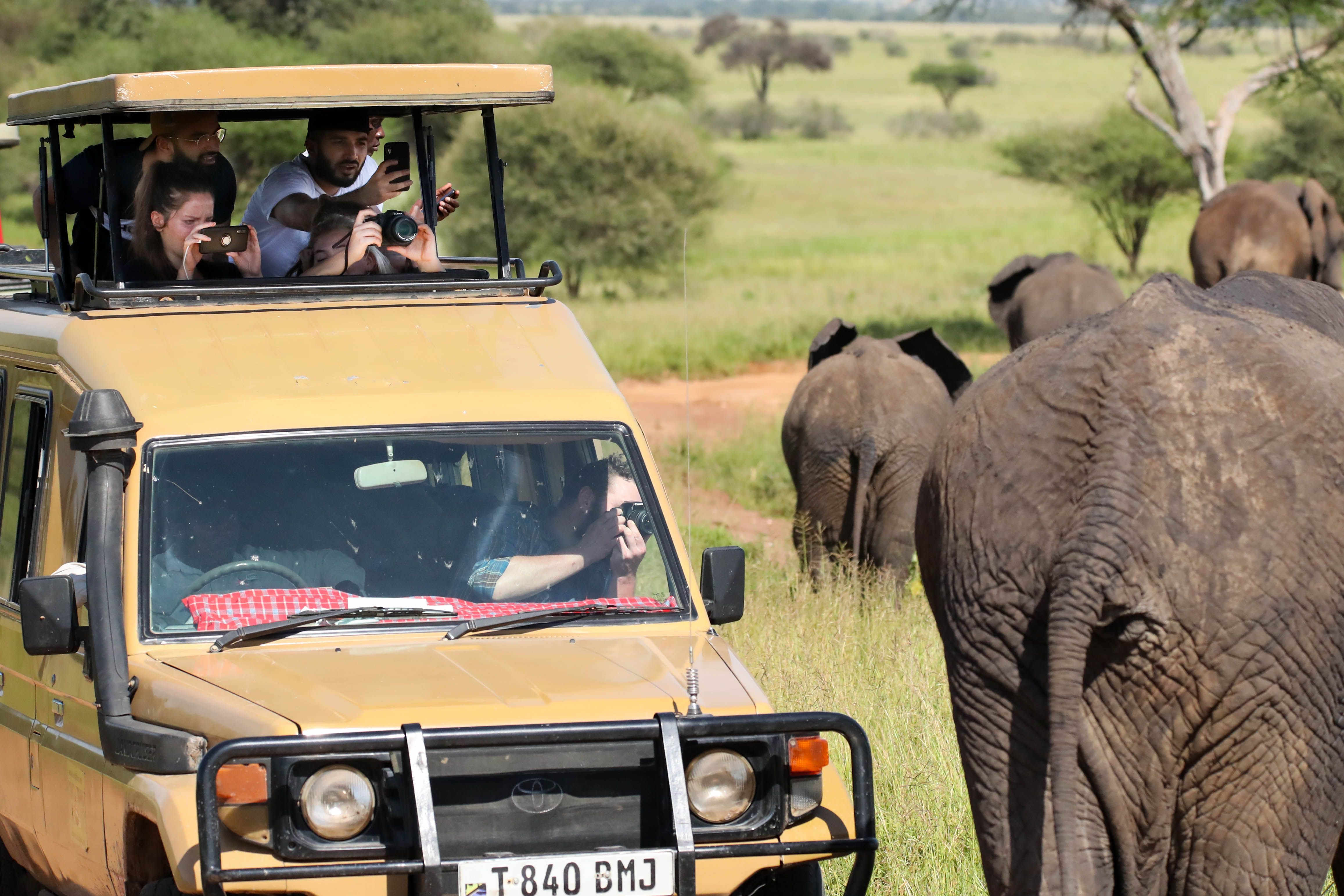 Serengeti