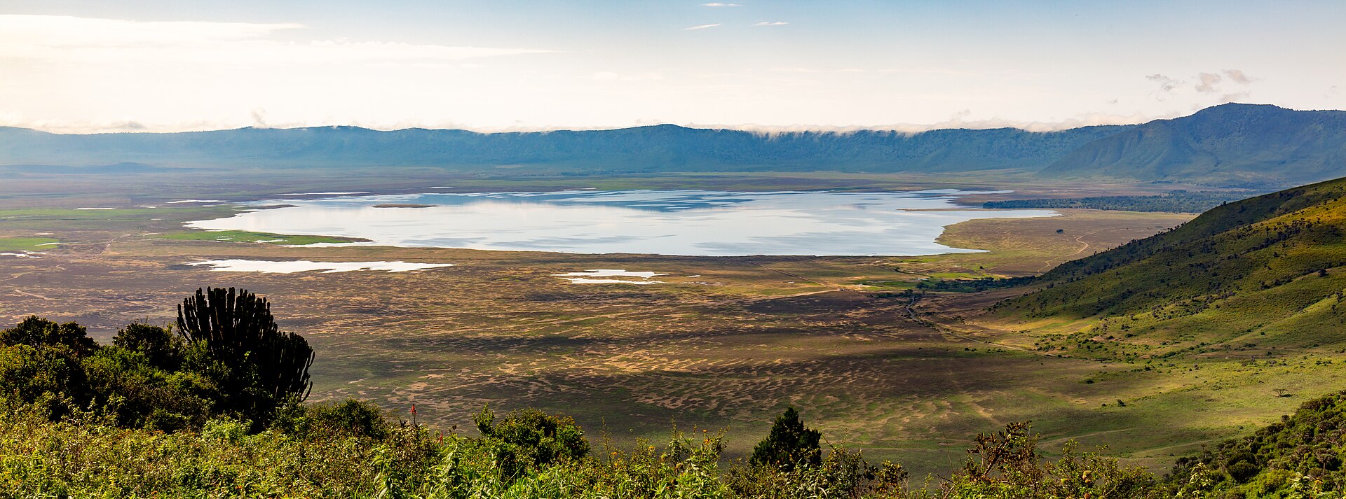 Ngorongoro