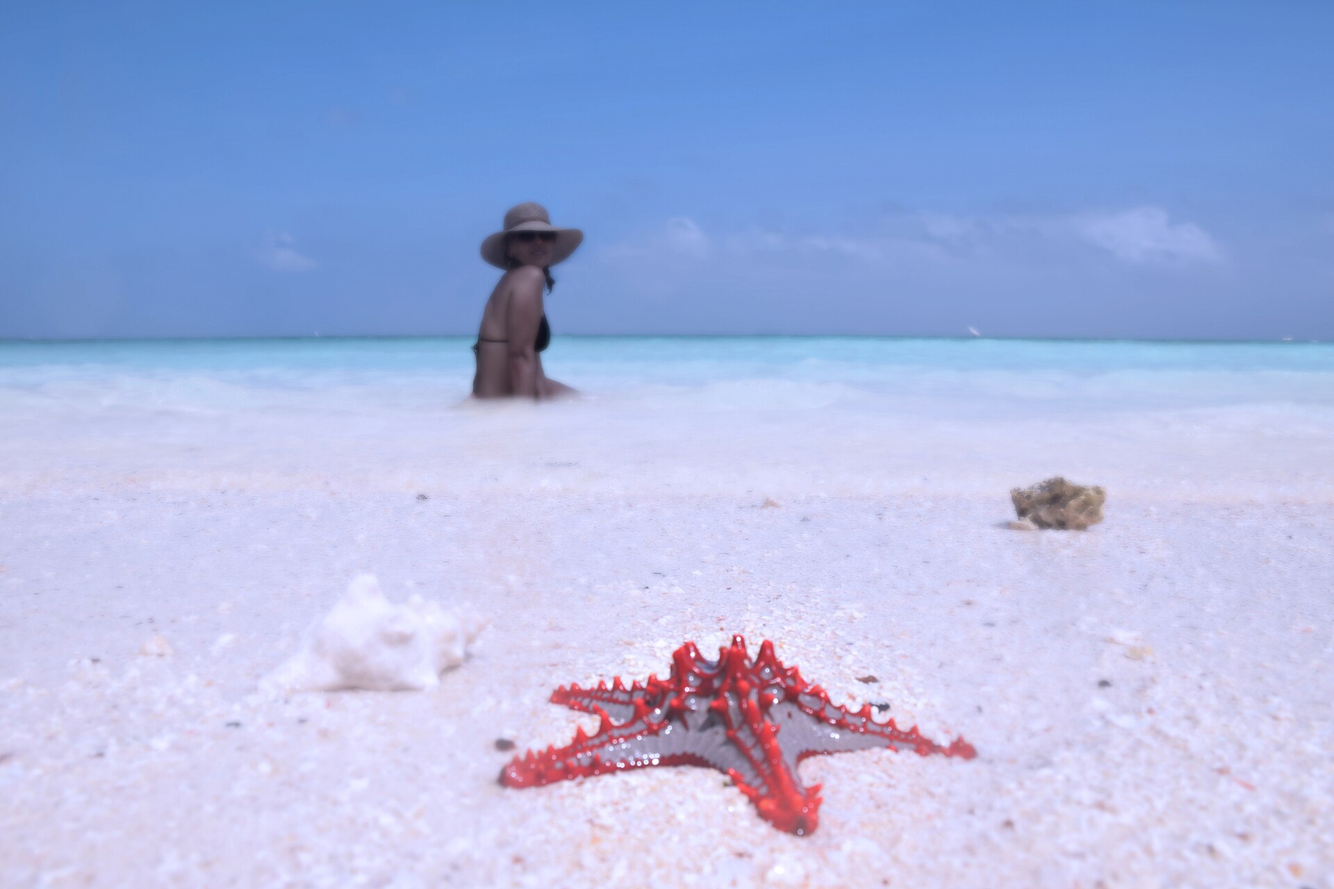 Zanzibar