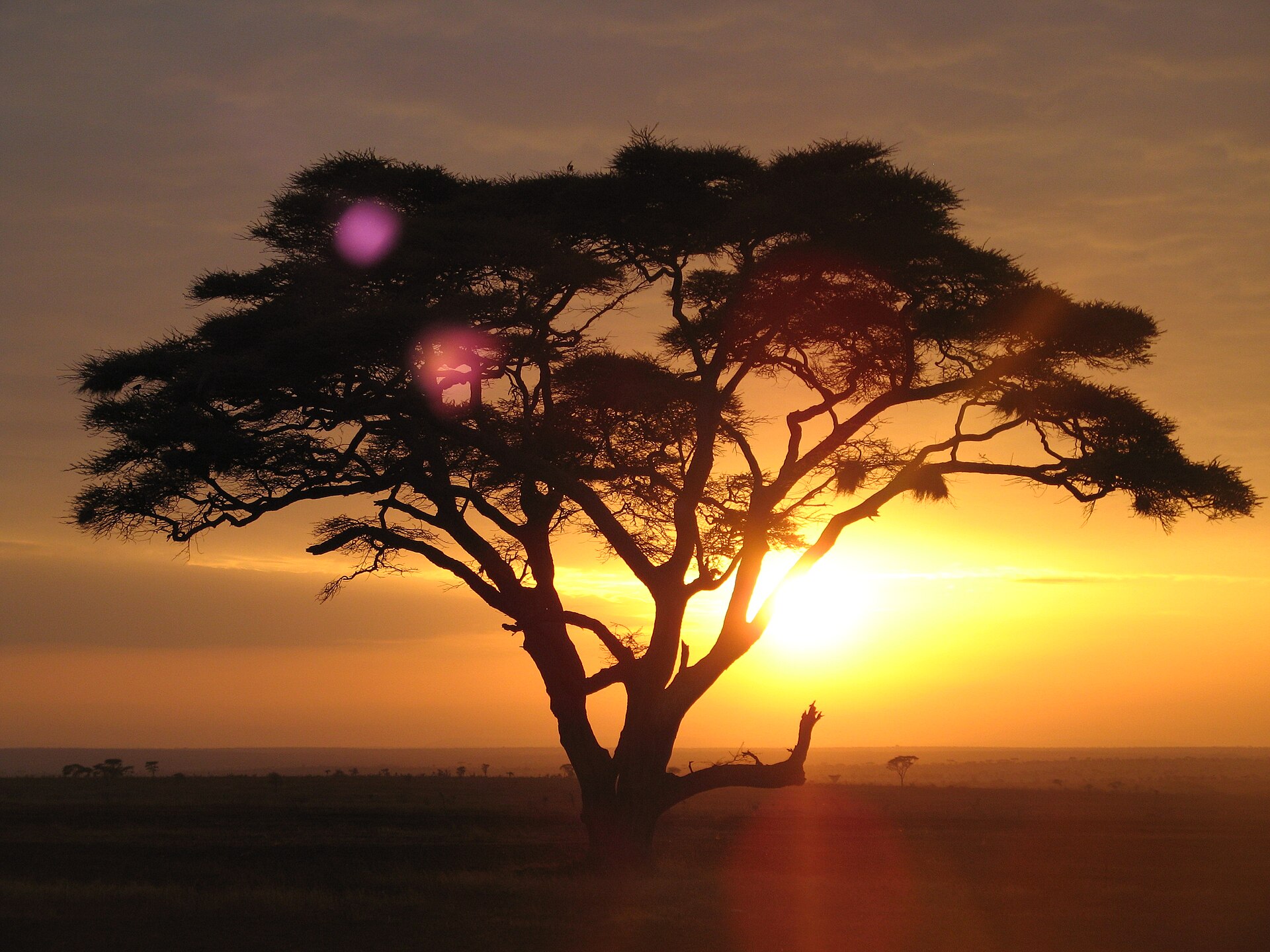 Tanzania