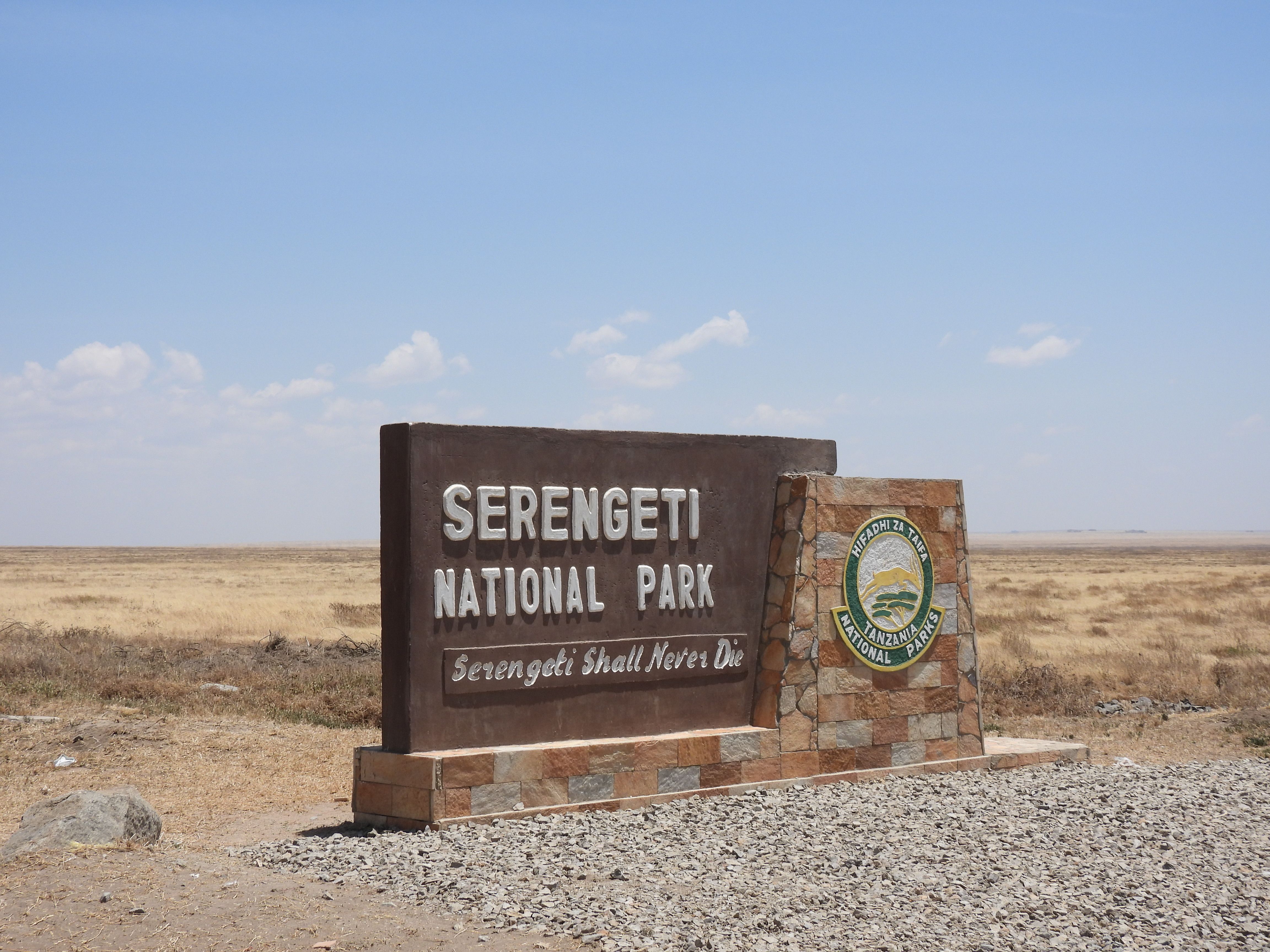 Wildlife Safaris