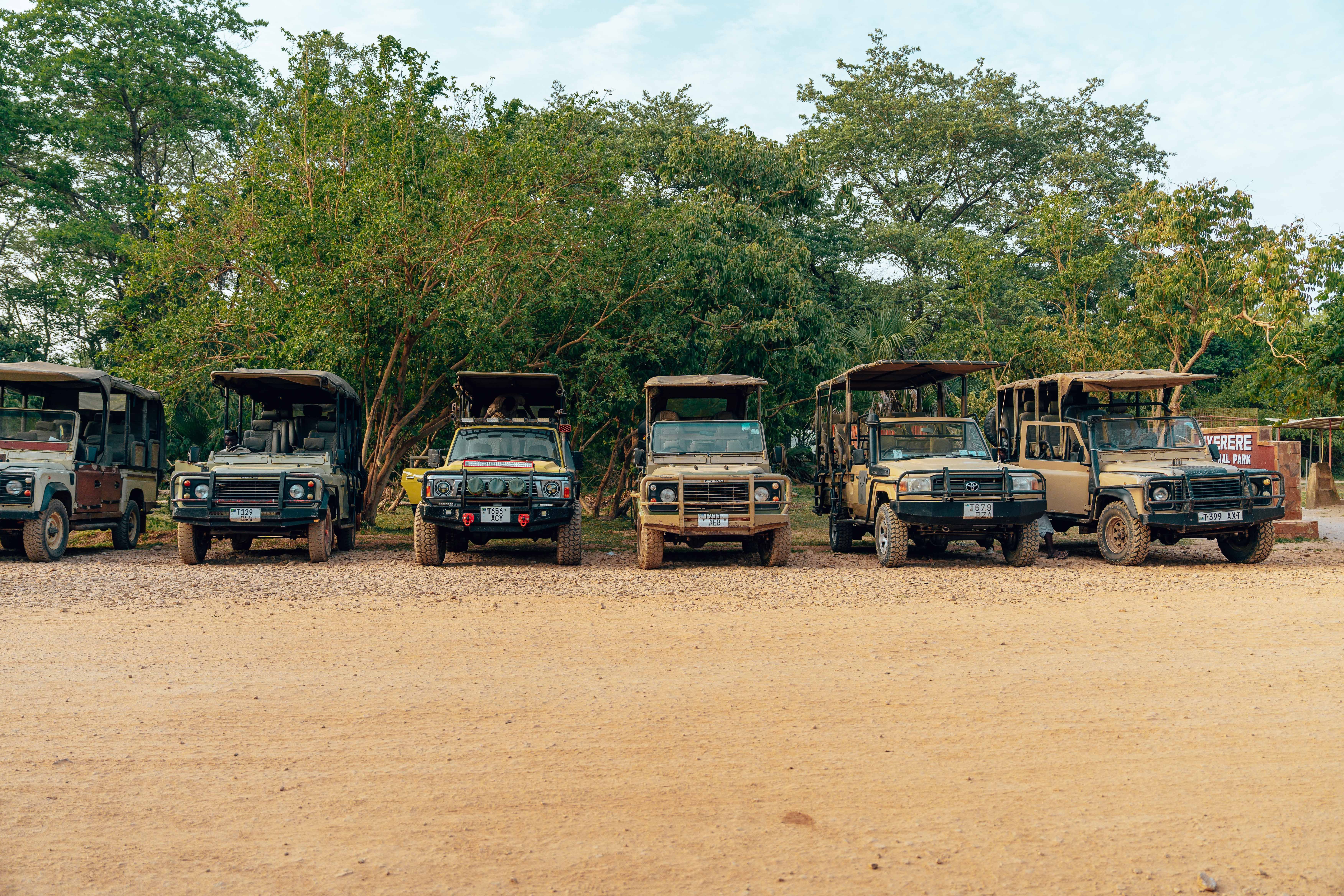 Row of parked SUVs on a dirt road surrounded by lush greenery.