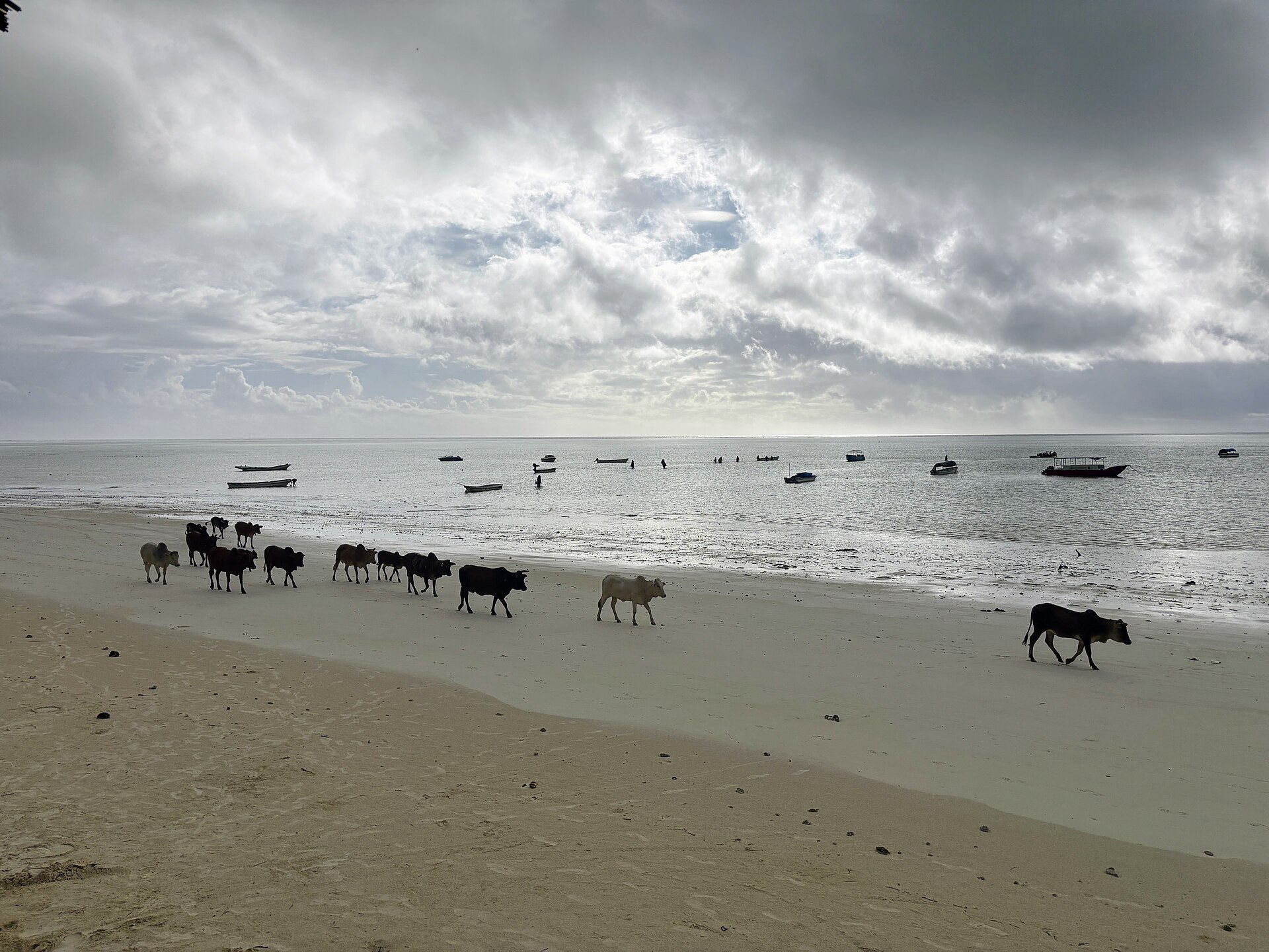 Zanzibar Beach Escape